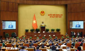 Tăng cường năng lực nội sinh, thúc đẩy tăng trưởng kinh tế nhanh và bền vững