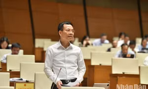Xử lý sim rác và tài khoản ngân hàng không chính chủ để dẹp nạn lừa đảo trực tuyến