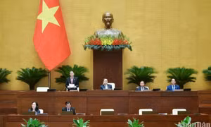 Hầu hết chính sách tại Nghị quyết số 43 là kịp thời, được nhân dân đồng thuận
