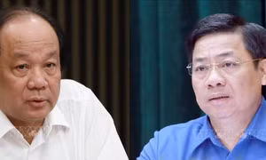 Bộ Chính trị, Ban Bí thư xem xét, thi hành kỷ luật tổ chức đảng, đảng viên