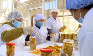 Làm mới sản phẩm OCOP để chiếm lĩnh thị trường