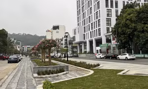 TP Hạ Long: Cương quyết xử lý vi phạm trật tự đô thị