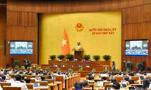 Cần quy định cụ thể việc đấu giá đối với một số loại tài sản đặc thù