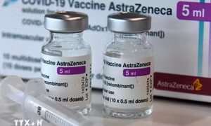 Vaccine AstraZeneca gây đông máu: Người dân không nên hoang mang đi làm xét nghiệm đông máu