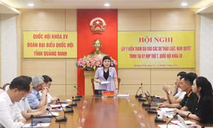 Đoàn ĐBQH tỉnh lấy ý kiến tham gia vào dự án Luật trình tại Kỳ họp thứ 7, Quốc hội khóa XV