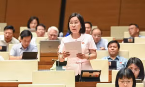 Đại biểu Quốc hội kiến nghị tăng quyền lợi cho người lao động khi ốm đau, thai sản