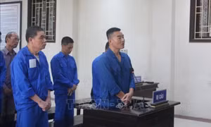 Xét xử Giám đốc Trung tâm Đăng kiểm xe cơ giới 17-02D cùng các đồng phạm