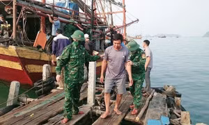 Quảng Bình tiếp tục tìm kiếm 10 ngư dân mất tích