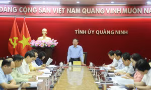 Tập trung tạo đột phá, phát triển sản phẩm du lịch, dịch vụ gắn với nâng cao chất lượng