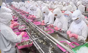 Xuất siêu nông lâm thủy sản tăng 71,5%