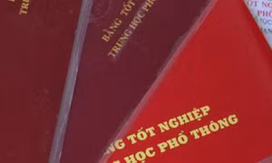 Chủ tịch xã ở Nghệ An xin nghỉ việc do liên quan đến bằng giả 