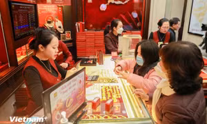 Ngân hàng Nhà nước chính thức thanh tra hoạt động kinh doanh vàng