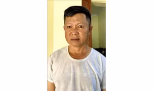 Trộm biển báo giao thông, Hạt phó Hạt Quản lý đường bộ bị bắt