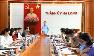 Hạ Long: 7 tháng thực hiện 989 cuộc kiểm tra, giám sát trong Đảng