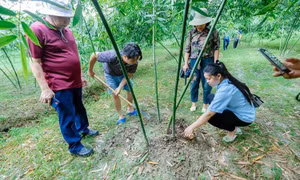 Sản xuất nông nghiệp gắn với du lịch sinh thái