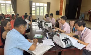 Nâng cao hiệu quả cho vay ủy thác