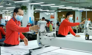 Dệt may Việt Nam có bao nhiêu thị trường xuất khẩu tỷ USD?