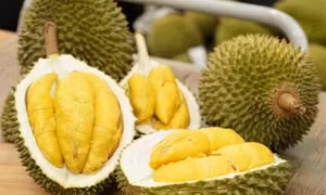 Trung Quốc: Thị trường xuất khẩu nông, lâm, thủy sản lớn nhất của Việt Nam