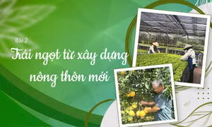 Trái ngọt từ xây dựng nông thôn mới 