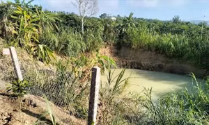 Hai bé gái đuối nước dưới ao trước nhà