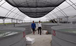Điểm sáng xã Đông Hải