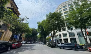 Đông Bắc Bộ, có mây, ngày có mưa rào và dông vài nơi