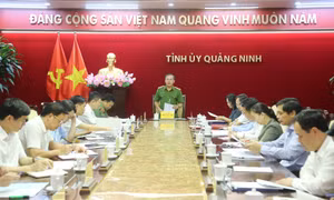 Đoàn công tác của Ban Chỉ đạo sơ kết 5 năm thực hiện Chỉ thị số 26-CT/TW làm việc với Ban Thường vụ Tỉnh ủy