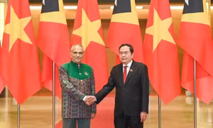 Tăng cường hợp tác song phương các lĩnh vực Việt Nam và Timor Leste có tiềm năng, thế mạnh