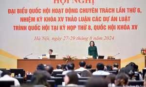 Phân loại rõ các công trình sửa chữa, cải tạo trong khu vực bảo vệ di tích