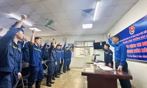 Công ty CP Than Núi Béo: Nâng cao chất lượng nguồn nhân lực