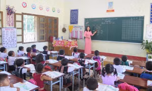 Đảm bảo đủ giáo viên đứng lớp, công khai các khoản thu, chi từ đầu năm học