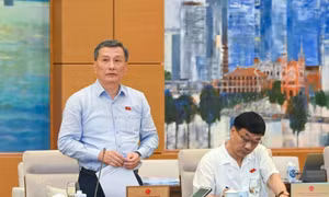 Tiền cấp quyền khai thác khoáng sản được quyết toán theo sản lượng khai thác thực tế