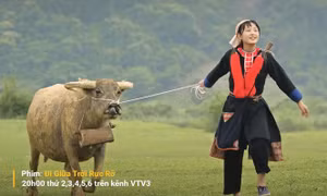 Tranh cãi quanh phim Đi giữa trời rực rỡ: Đừng nghĩ cứ khoác trang phục dân tộc vào là hiểu họ