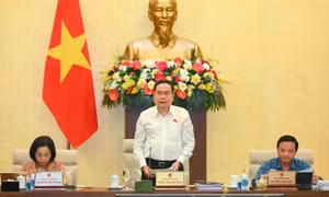 Hoàn thiện các dự thảo luật bảo đảm tính khả thi, đáp ứng yêu cầu thực tiễn