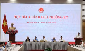 Họp báo Chính phủ thường kỳ tháng 7/2024