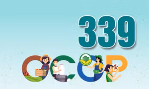 339 - là số sản phẩm OCOP được chứng nhận từ 3-5 sao của tỉnh
