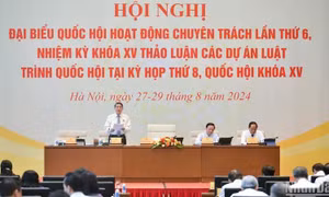 Cân nhắc kỹ việc áp thuế suất VAT 5% với phân bón