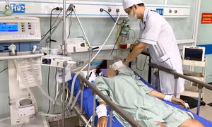 Cô gái 17 tuổi đi cấp cứu trong tình trạng nguy kịch sau khi bị ong đốt