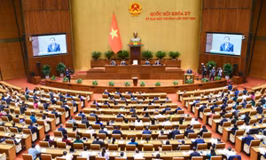 Kỳ họp thứ 8 (tháng 10/2024): Quốc hội sẽ kiện toàn chức danh Chủ tịch nước