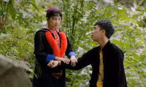 Thấy gì khi phim 'Đi giữa trời rực rỡ' gây sốt?