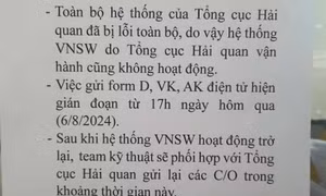 Hệ thống hải quan điện tử gián đoạn 16 giờ