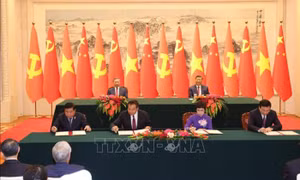 Tổng Bí thư, Chủ tịch nước Tô Lâm cùng Tổng Bí thư, Chủ tịch Trung Quốc Tập Cận Bình chứng kiến lễ ký kết các văn kiện hợp tác