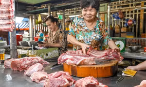 Doanh thu 280.000 đồng/ngày phải nộp thuế: 'Bán 7-8 tô phở là phải nộp rồi'