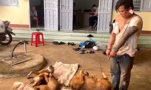 Bắt đối tượng trộm chó dùng dao đâm chủ nhà trọng thương