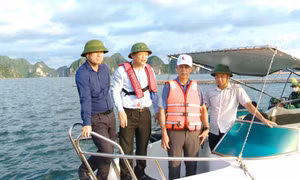TX Quảng Yên phải tạo chuyển biến rõ nét trong giao khu vực biển và IUU