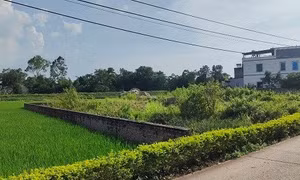 Đất nông nghiệp chuyển sang đất ở phải đủ điều kiện gì?