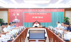 Thông cáo báo chí Kỳ họp thứ 46 của Ủy ban Kiểm tra Trung ương