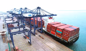 TP Hạ Long: Nâng cao hiệu quả quản lý nhà nước về logistics 