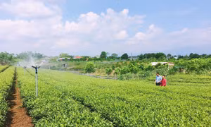 Nông dân 4.0