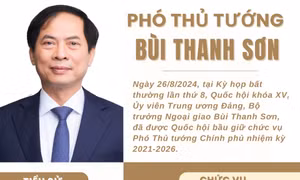 Tiểu sử Phó Thủ tướng Chính phủ Bùi Thanh Sơn